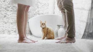 Foto Blog Konflikte - zwei Paar Beine stehen sich gegenüber, zwischen ihnen sitzt eine Katze